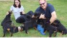 Süße reinrassige Rottweiler Welpen suchen neue Familie